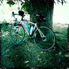 bikesloth